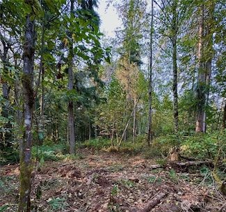 0 8XXX 213th Ave SE, Snohomish, WA 98290