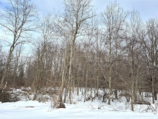 Lot 3 Biscoff Rd, Albion, PA 16401