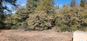 612 N Ponderosa Cir, Payson, AZ 85541