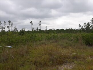 0 S Hwy 301 Unit 1628505, Nahunta, GA 31553