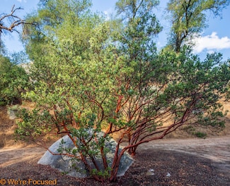 1 Cryer Road Poppet Flats Rd, Banning, CA 92220