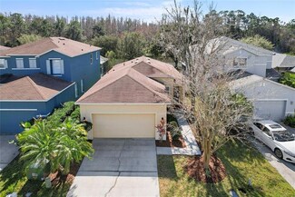 26942 Stillbrook Dr, Wesley Chapel, FL 33544