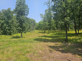 Parcel A County Road 12, Riverton, MN 56455