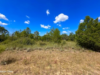 Lot 9 Marville Dr, Marianna, FL 32448