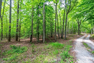 0 Atwell Ln, Keysville, VA 23947