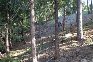 0 Ranier Unit I12051778, Lake Arrowhead, CA 92352
