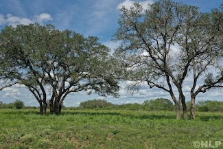 8715 Farm To Market Road 1796, D'Hanis, TX 78850