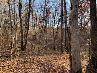 9.04 ACRES N Ridge Rd, Bourbon Township, MO 65256