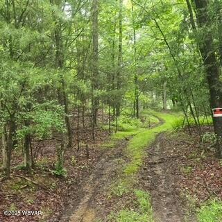 Lot 7B Hemlock Ridge Rd, Pine Creek Township, PA 17740