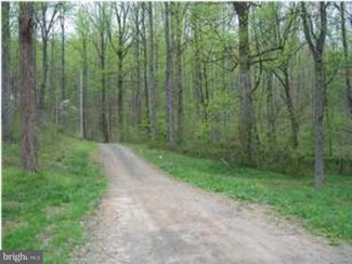 3139 Duet Rd, Etlan, VA 22719
