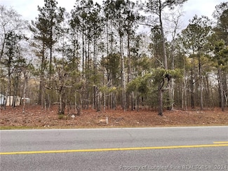00 N Shannon Rd, Rennert, NC 28386