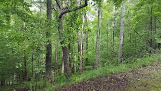 00 Cedar Bluff Ln, Hardy, VA 24101