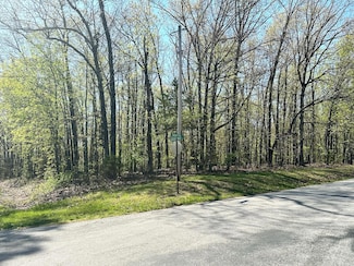 L42a & 43a Eaglecrest Rd, Cape Fair, MO 65624