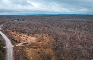 0 Ray Hicks Road Tract 2, Viburnum, MO 65566