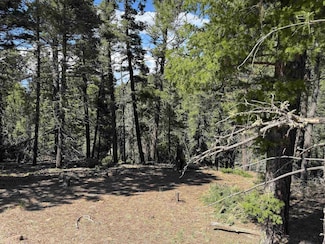 Lot 1662 El Vado Cir, Angel Fire, NM 87710