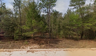405 Neisman Ave, Interlachen, FL 32148