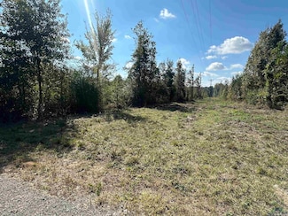 TBD Farm To Market 124, Beckville, TX 77631