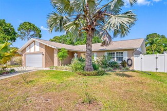 14305 Chaparell Place, Tampa, FL 33625