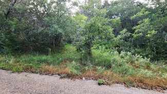 839 E Aquarius Ct, Granbury, TX 76049