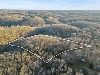 Tbd Sassafras Ln, Washington Township, MO 65656