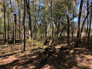 208 Chestnut Ln, Ohiopyle, PA 15470