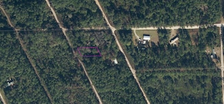 204 Coot Rd, Satsuma, FL 32189