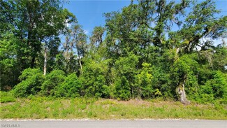 8001 Shasta St, Webster, FL 33597