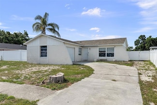 1009 Sagamore Dr, Seffner, FL 33584