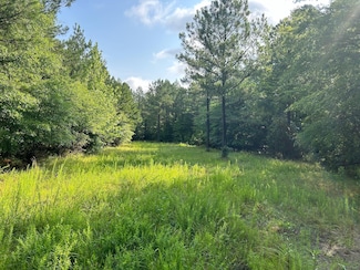 642 State Road S-44-438, Carlisle, SC 29031