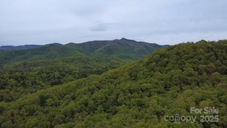 25 Sweetwater Ridge Rd, Balsam Grove, NC 28708