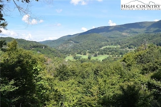 25 Wood Thrush Way, Banner Elk, NC 28604