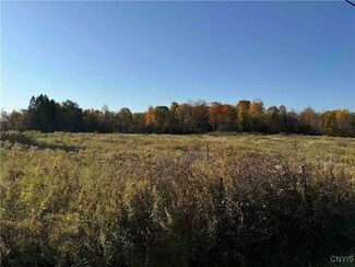 00 Mee Rd, Poland, NY 14733