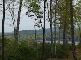 Lot 2 Old Chapman Bridge Rd, Salem, SC 29676
