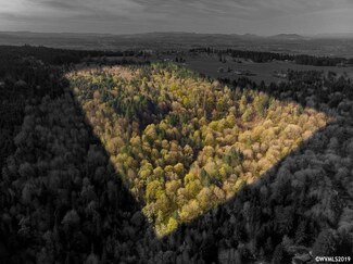 42172 Rodgers Mountain Loop, Scio, OR 97374