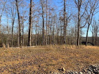 0 Havenwood Rd Unit 22809161, Mc Ewen, TN 37101