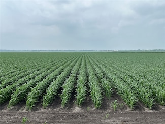 0 George Duty Rd, Damon, TX 77430