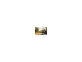 7019 Hopewell Rd, Lanesville, IN 47136