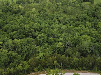 000 County Road 131, Wasola, MO 65773