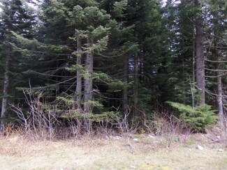 0 Cascade Place Unit 773931, Snoqualmie Pass, WA 98068