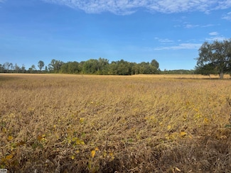 4452 Cole Rd, North Lakeport, MI 48059