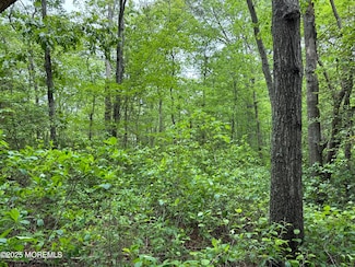 311 Court House Dennis Rd, Cape May Court House, NJ 08210