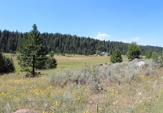 TBD Ridge Dr Unit 6, McCall, ID 83638