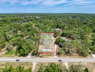 16165 Wiscon Rd, Brooksville, FL 34601