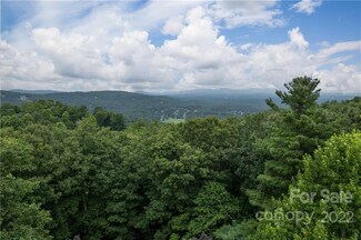 103 Waverly Ct Unit P21, Flat Rock, NC 28731