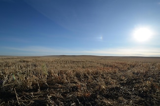 NE4 Sec 21 321st Ave, Central Lyman, SD 57544