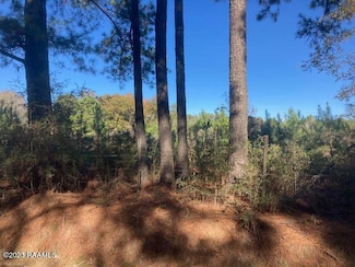 0 Landry Ln, Eunice, LA 70535