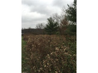 1400 Brackenridge Rd, Vincent, OH 45784
