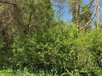 1.73AC Thomas Landing Rd, Gloucester, VA 23072