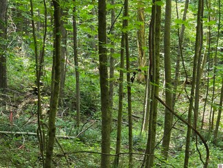 00 Pecan Dr, Cadiz, KY 42211