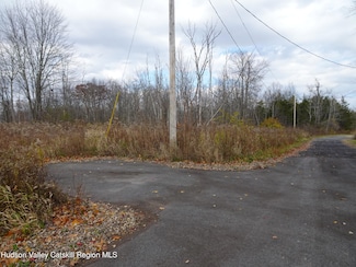 0 Willmon Rd, Claverack-Red Mills, NY 12534